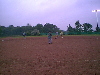 /PBB/PhotoGallery/SoftBall/02/Crazy Hat Day/